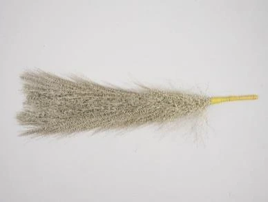 Pampa Grass Small